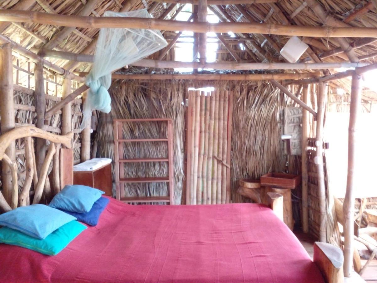 El Bamboo Cabins Balgue المظهر الخارجي الصورة