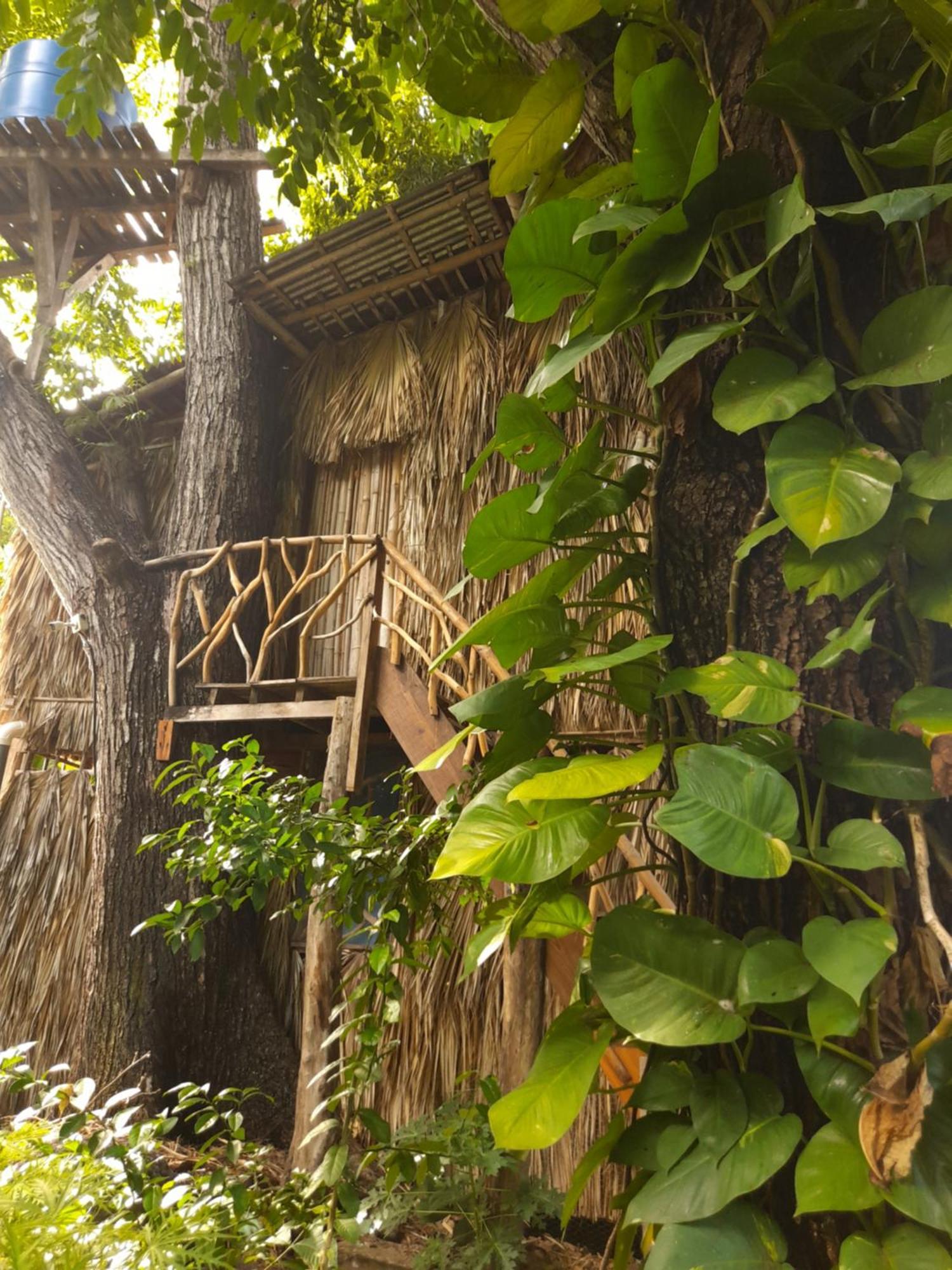 El Bamboo Cabins Balgue المظهر الخارجي الصورة