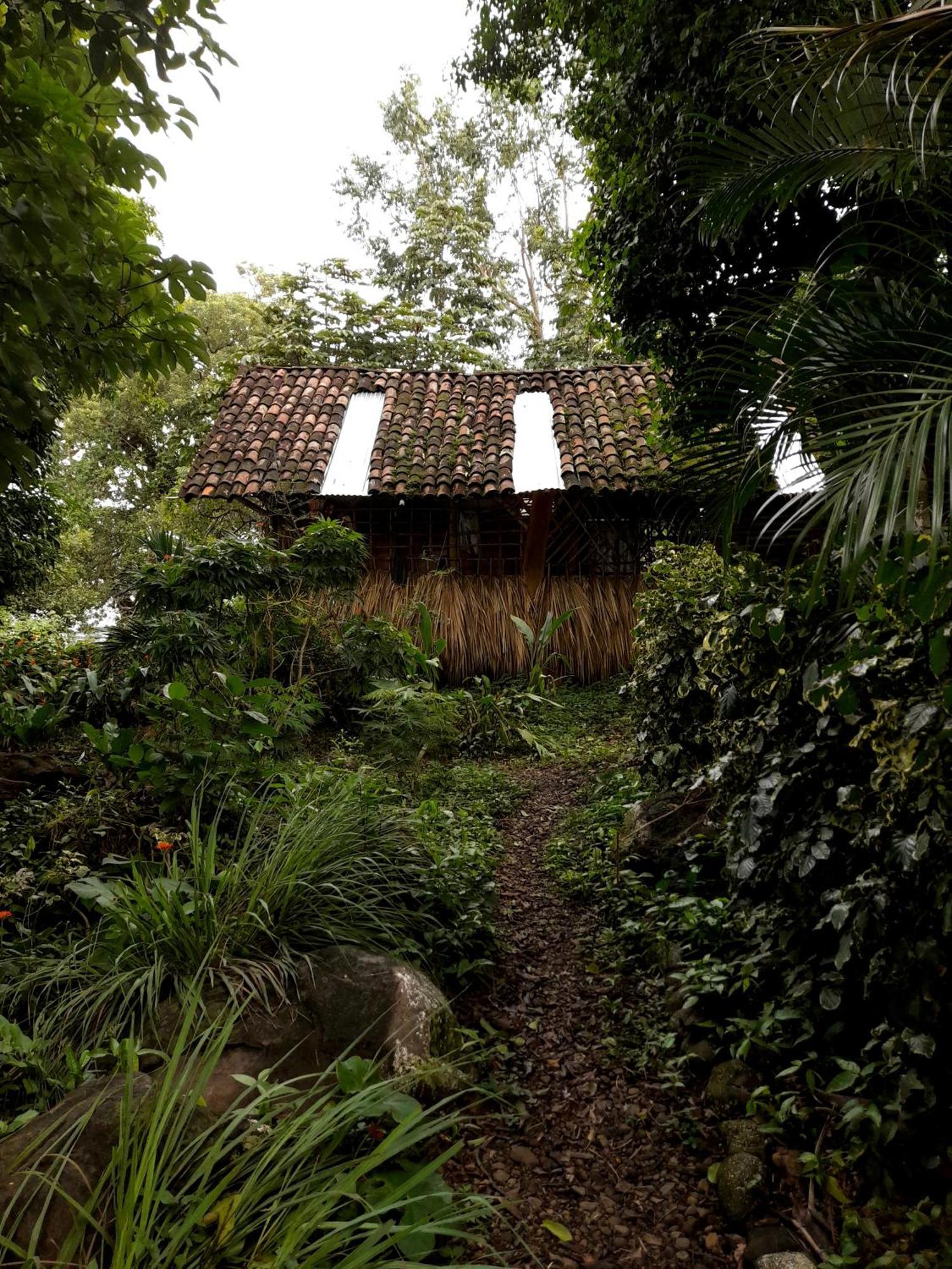 El Bamboo Cabins Balgue المظهر الخارجي الصورة