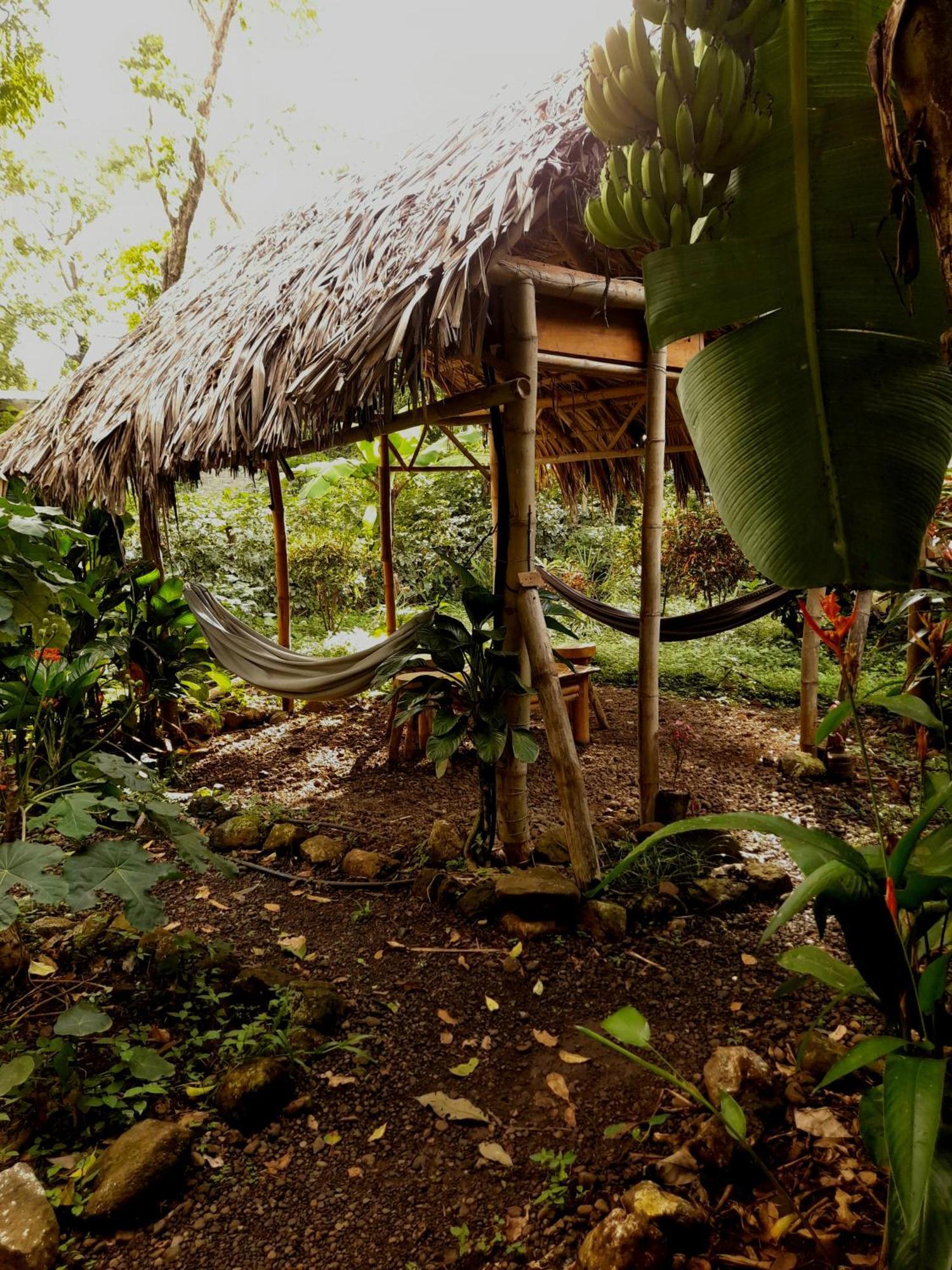 El Bamboo Cabins Balgue المظهر الخارجي الصورة