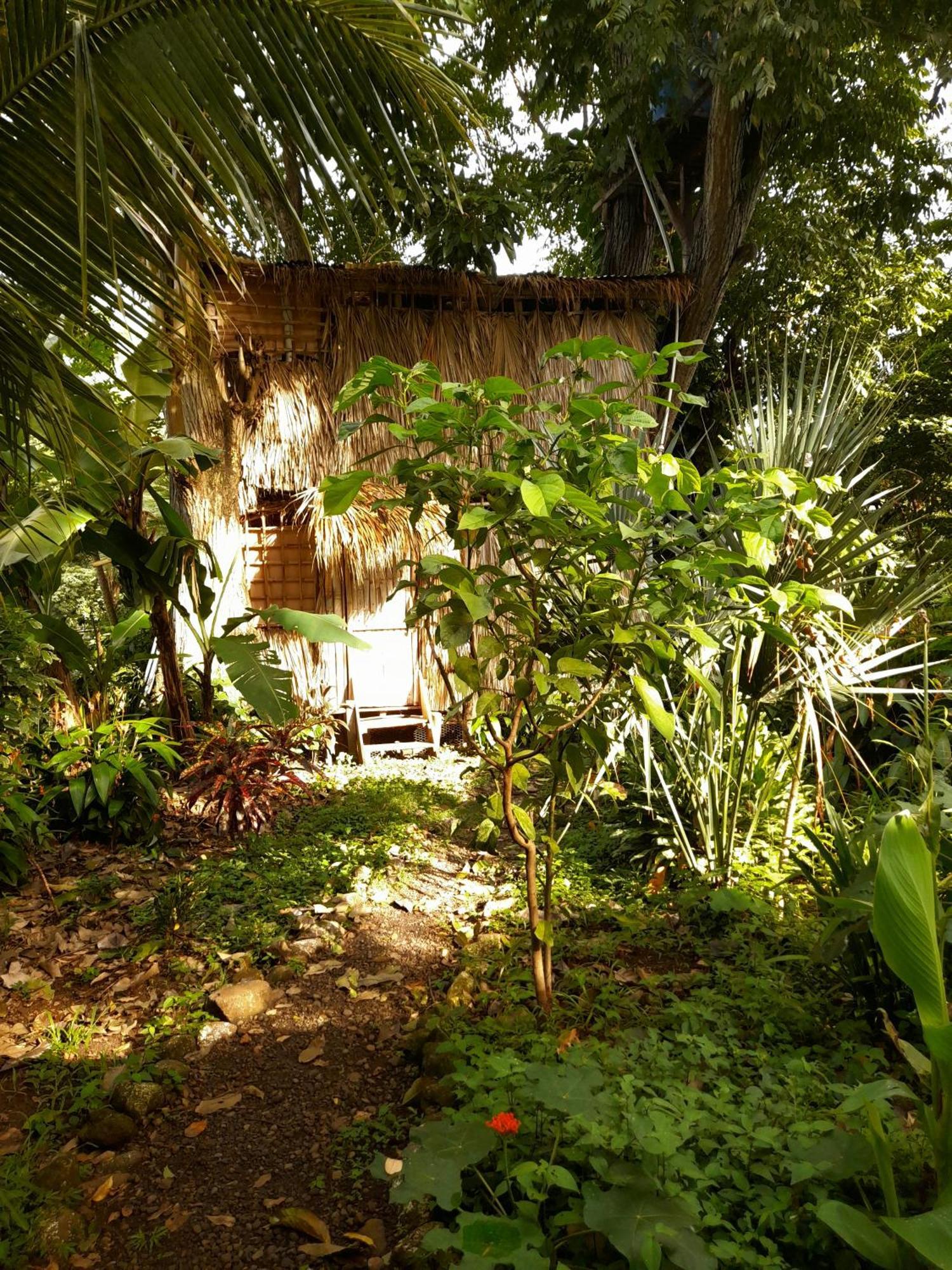 El Bamboo Cabins Balgue المظهر الخارجي الصورة